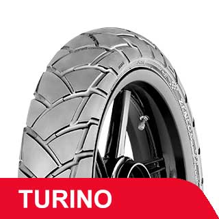 TURINO ZN33