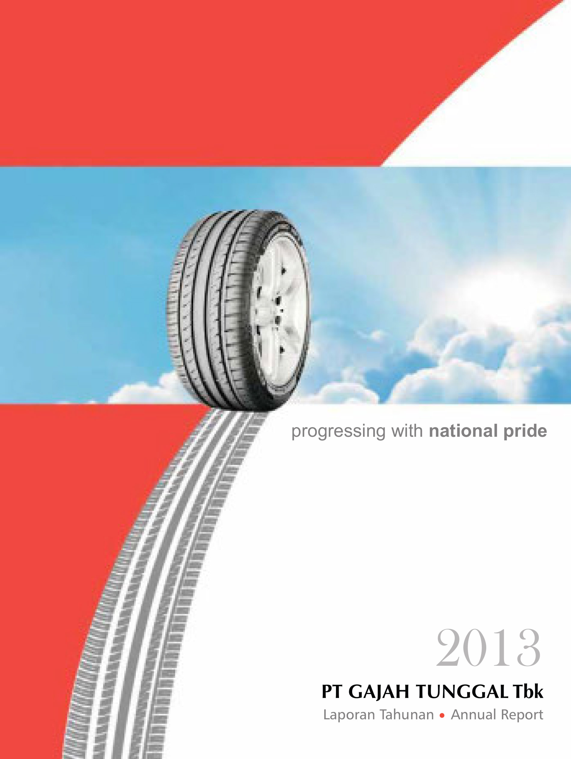 Annual Report 2013