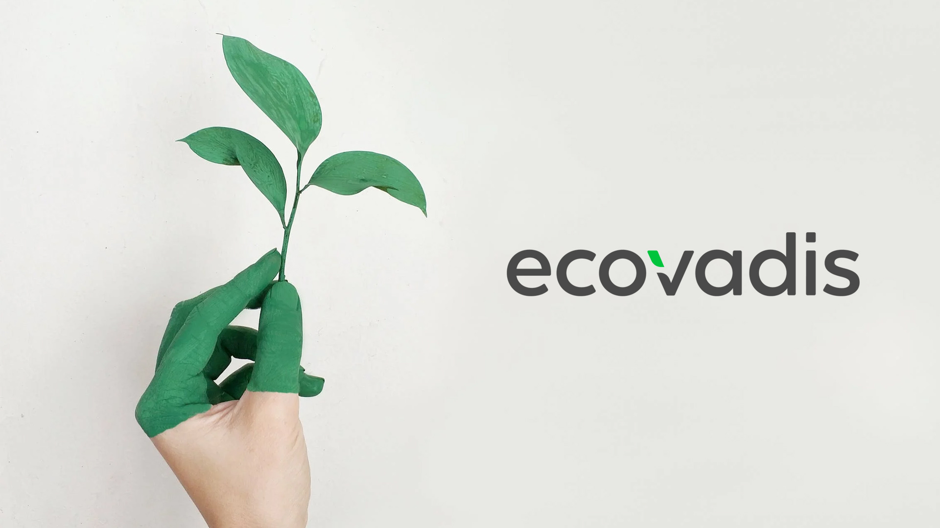 EcoVadis Performance